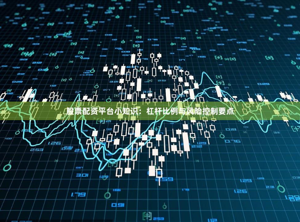 股票配资平台小知识：杠杆比例与风险控制要点